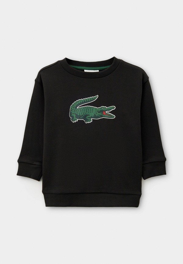 Где купить Свитшот Lacoste Lacoste 