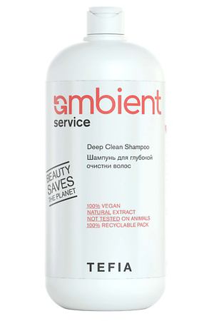 TEFIA Шампунь для глубокой очистки волос AMBIENT Service