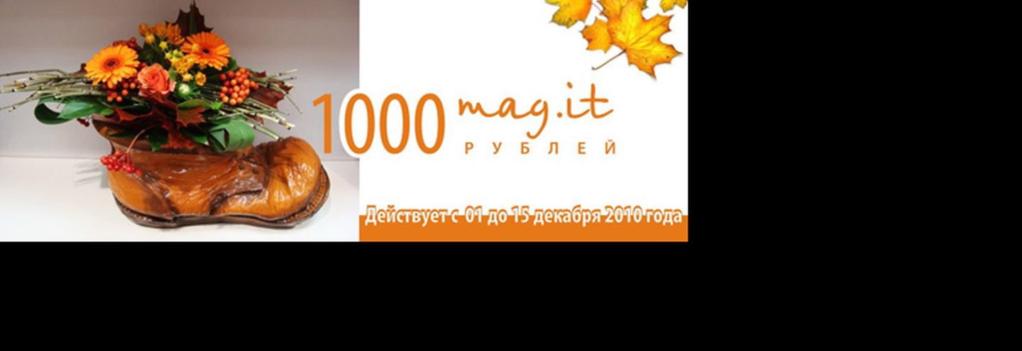 1000 рублей в подарок в салонах Mag.it