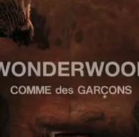 Comme des Garcons: Wonderwood 