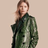 Burberry Women. Осень/Зима 2016-2017 Lookbook: